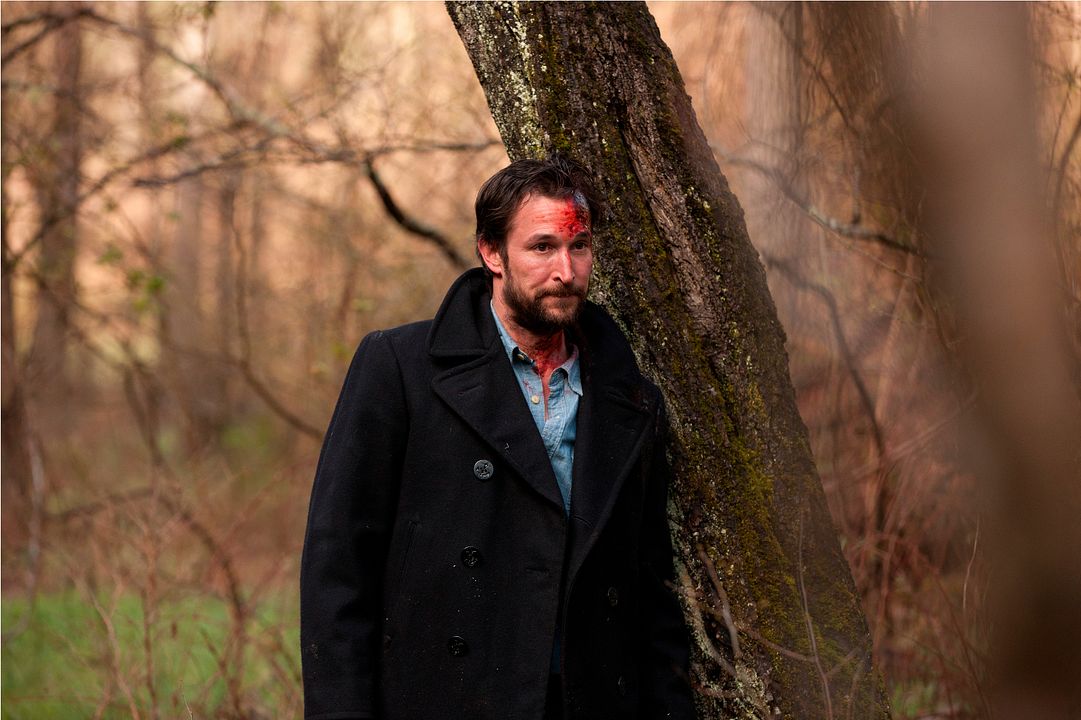 Photo Noah Wyle