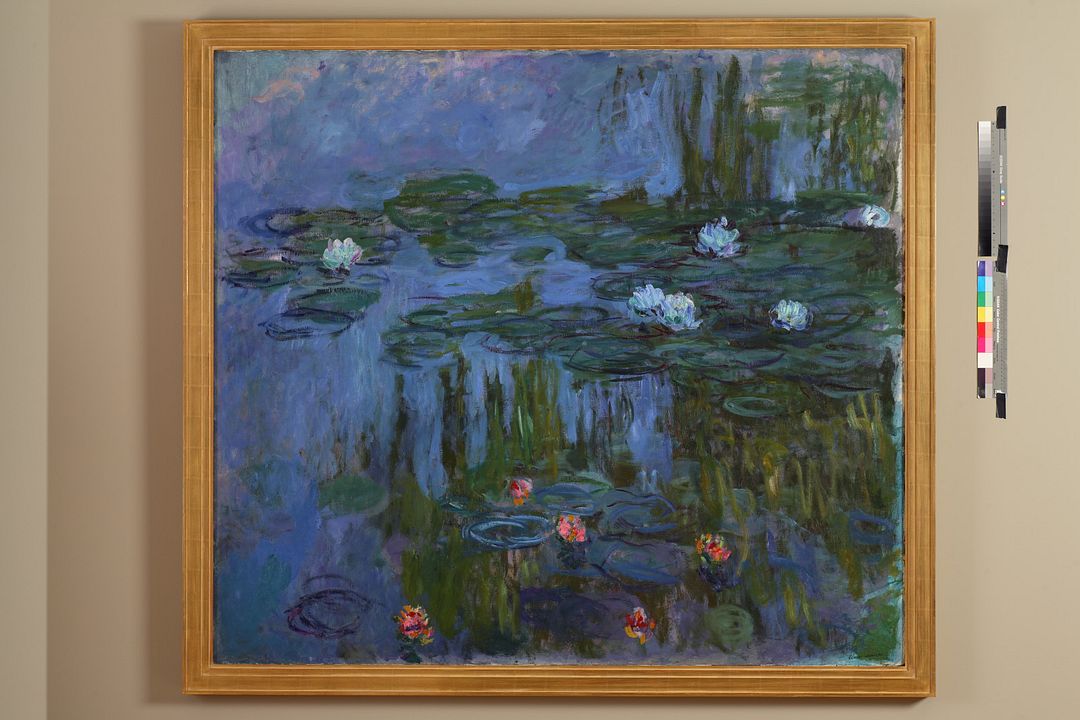 Peindre le jardin moderne : de Monet à Matisse : Photo