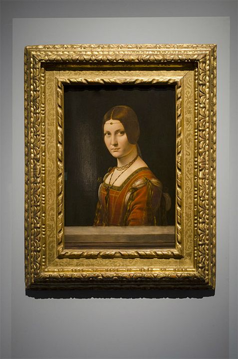 Leonardo Da Vinci - Le génie de Milan : Photo