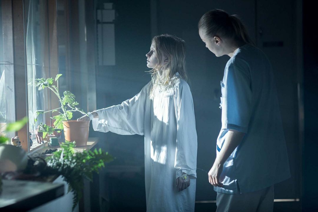 Jordskott, la forêt des disparus : Photo Stina Sundlof