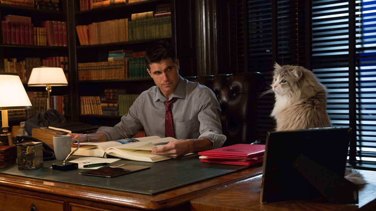 Ma vie de chat : Photo Robbie Amell