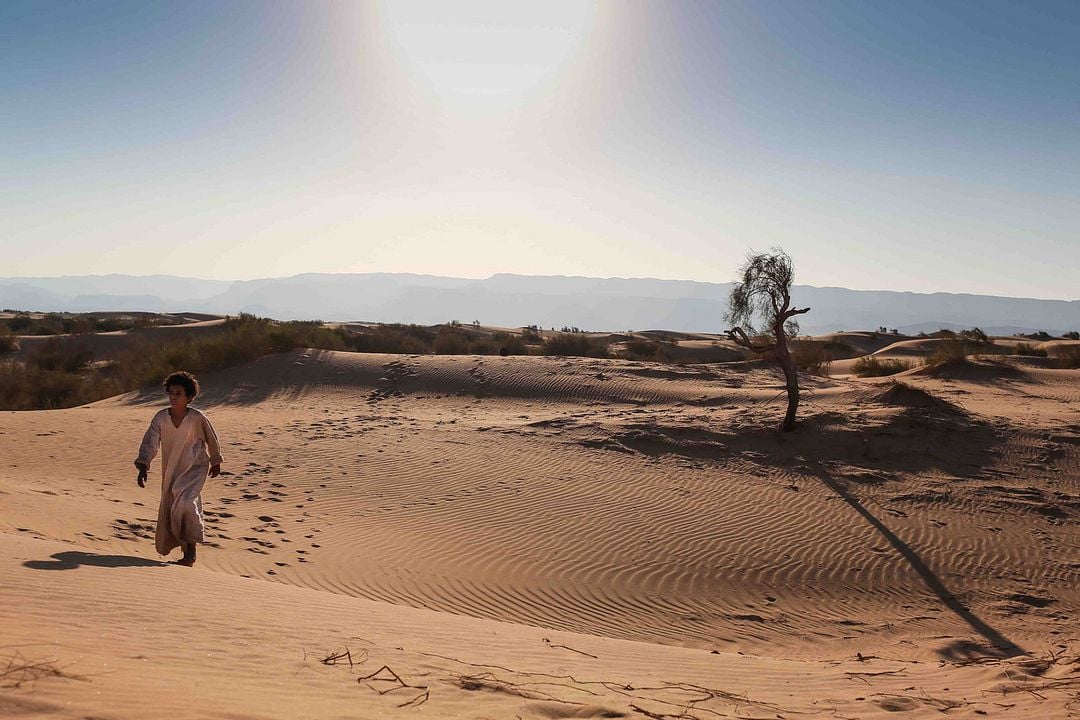 Theeb - la naissance d'un chef : Photo