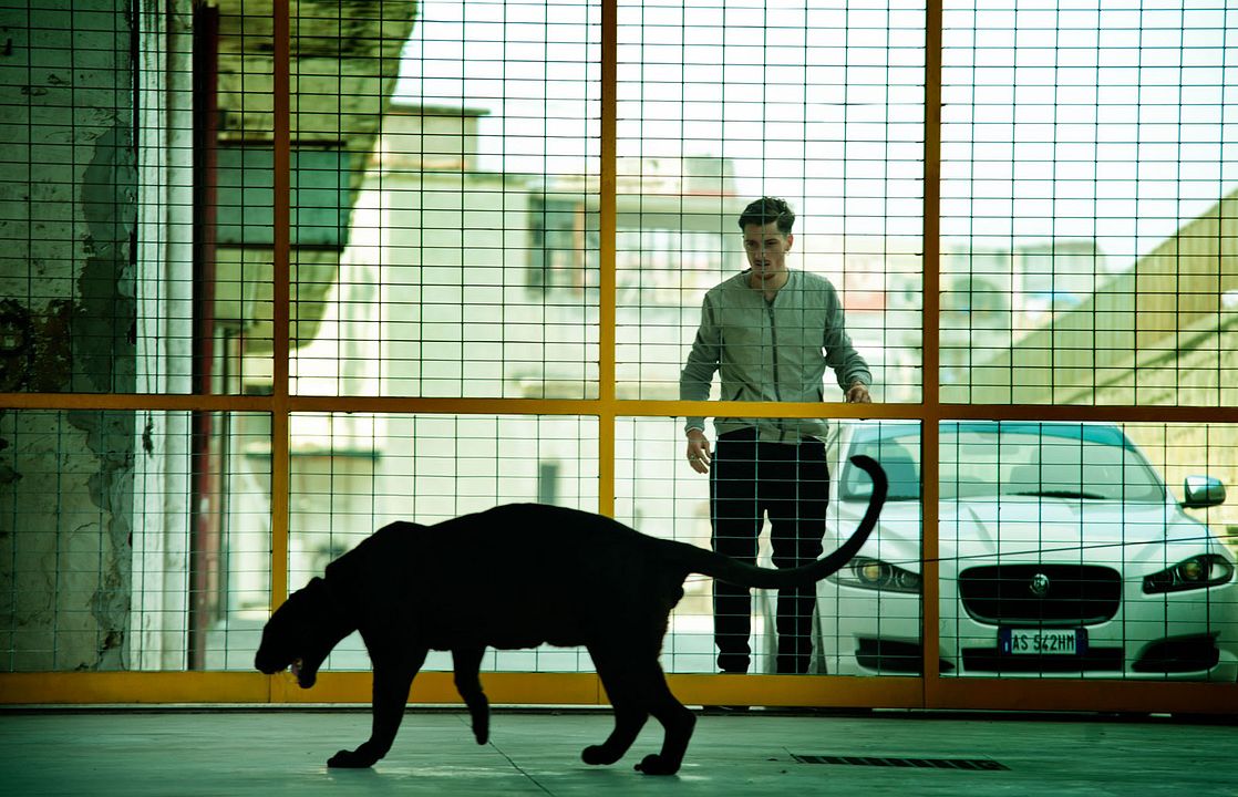 Gomorra : Photo