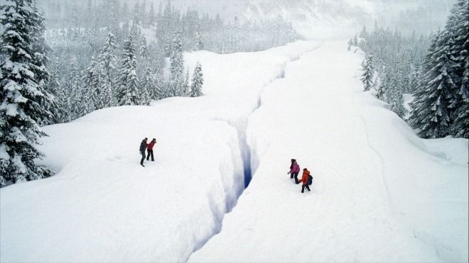 Une famille sous l’avalanche : Photo