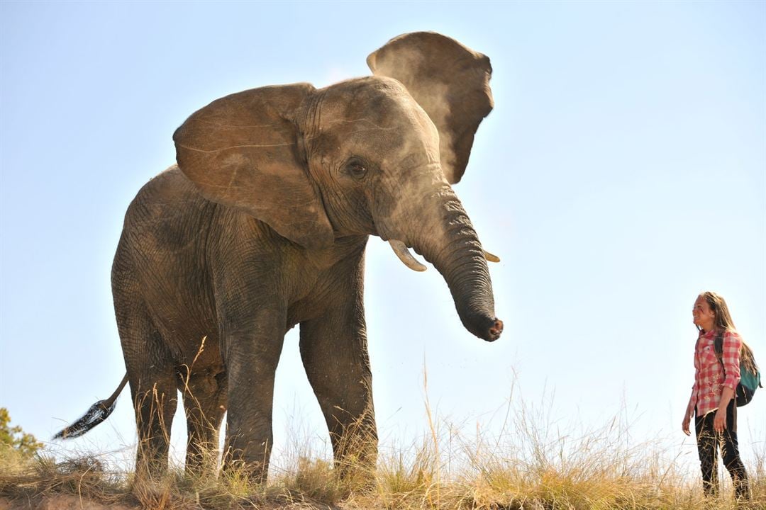 Le Safari de tous les danger : Photo