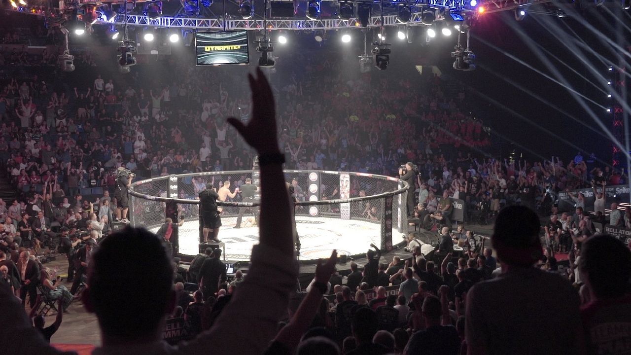 The Hurt Business : Photo