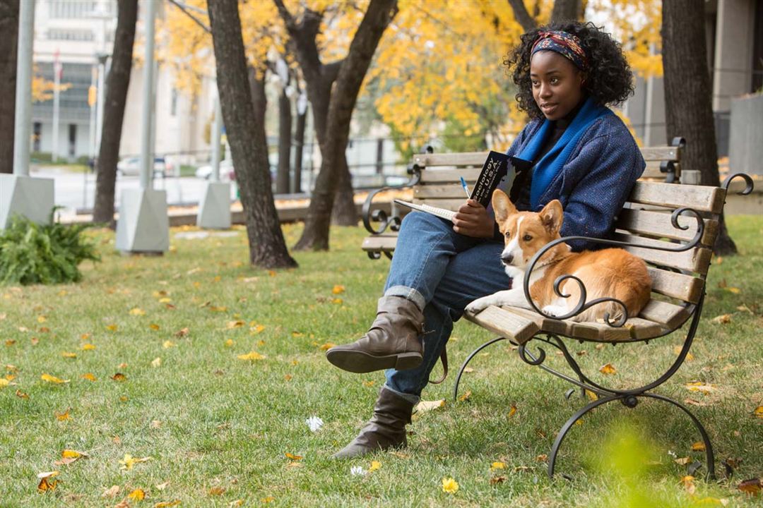 Mes vies de chien : Photo Kirby Howell-Baptiste