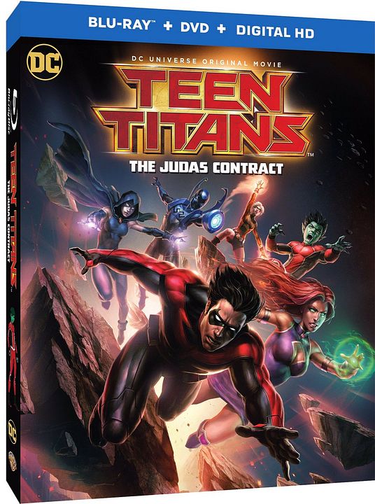 Teen Titans: The Judas Contract : Affiche