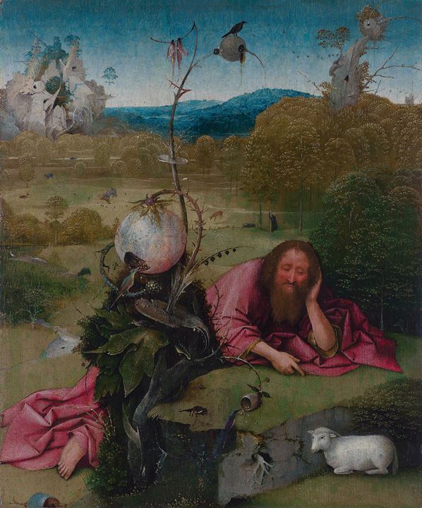 Le curieux monde de Hieronymus Bosch : Photo