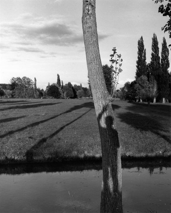 Robert Doisneau, Le Révolté du Merveilleux : Photo