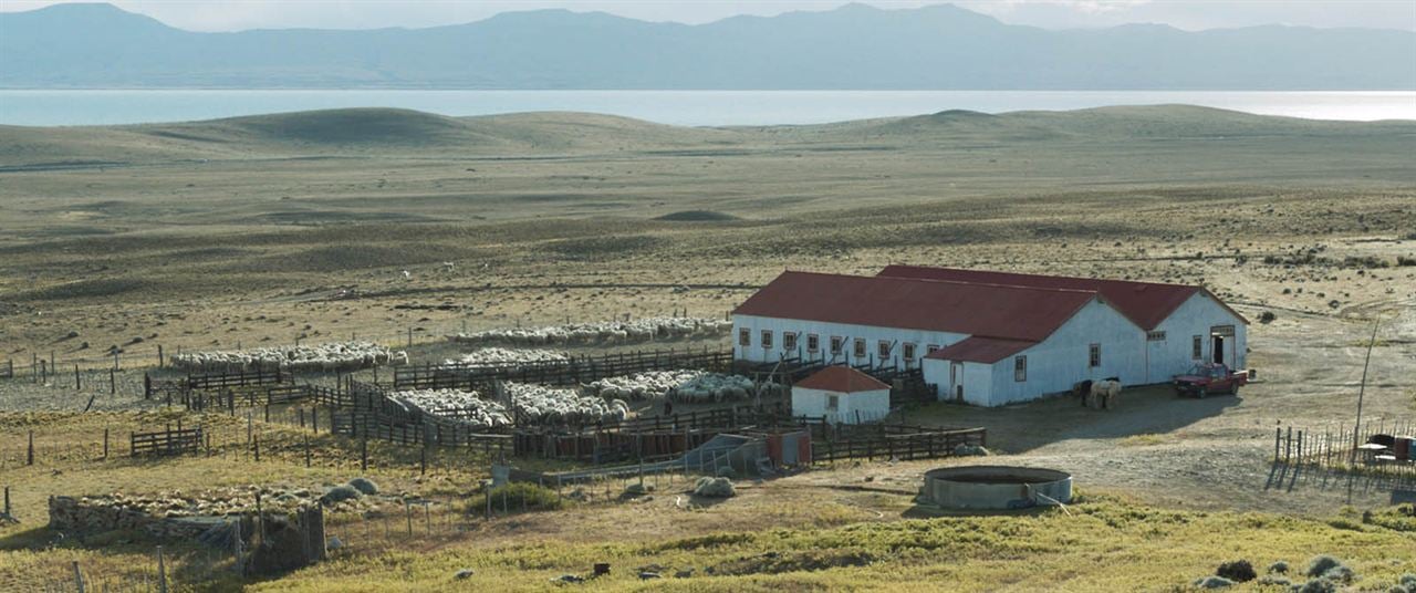 Patagonia, el invierno : Photo