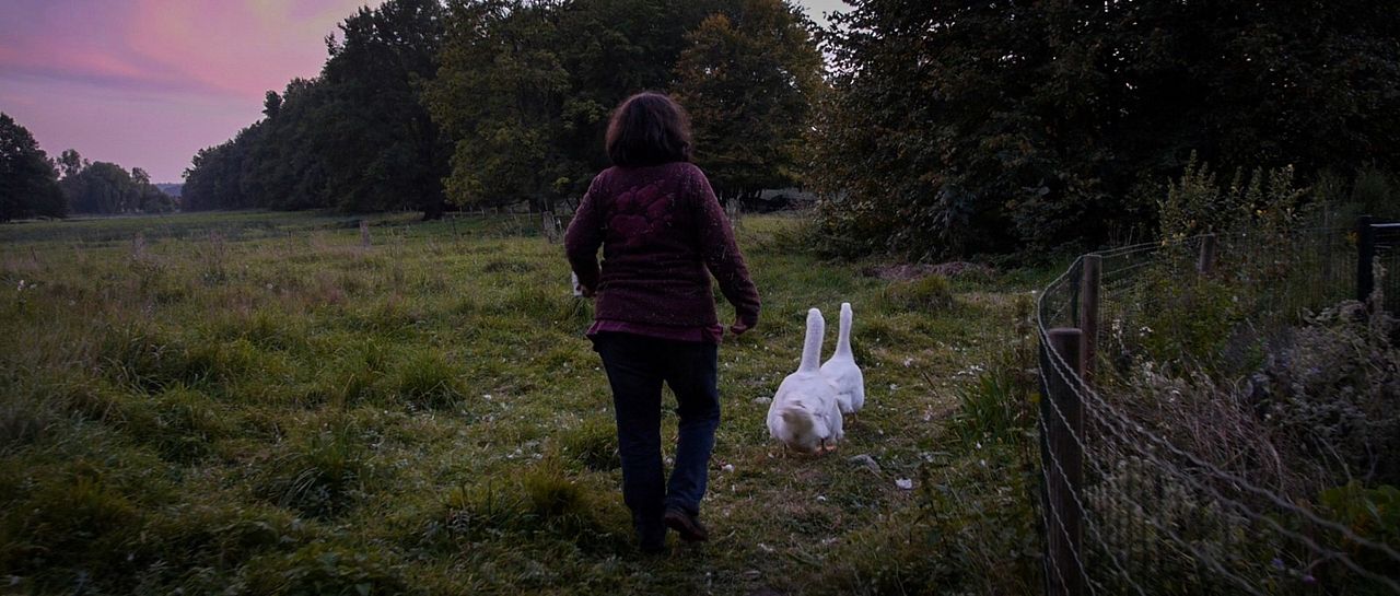 La Fin de la viande : Photo