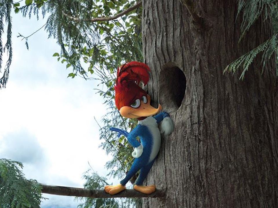 Woody Woodpecker : Photo