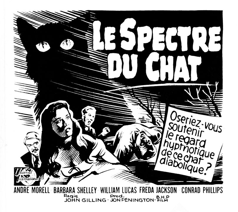 Le spectre du chat : Affiche