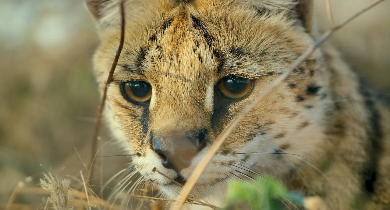 Un nouveau jour sur Terre : Photo
