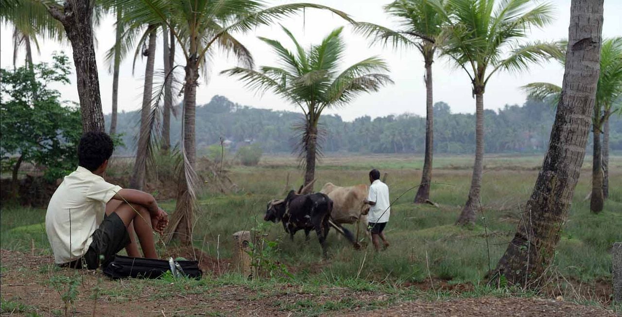 L'Enfant de Goa : Photo