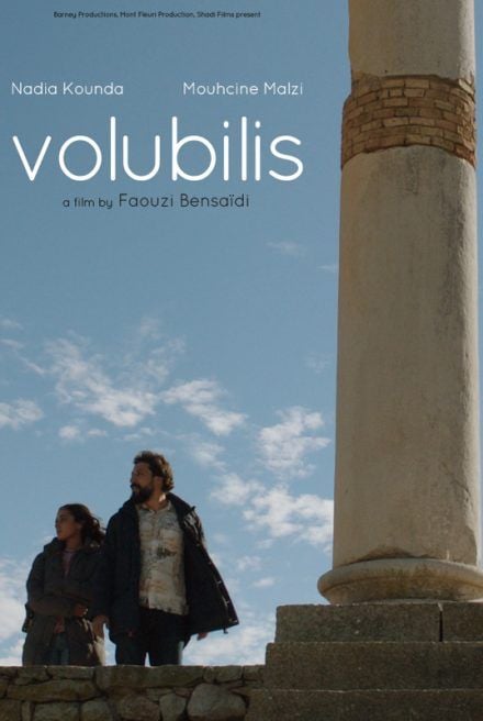 Volubilis : Affiche