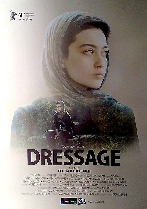 Dressage : Affiche