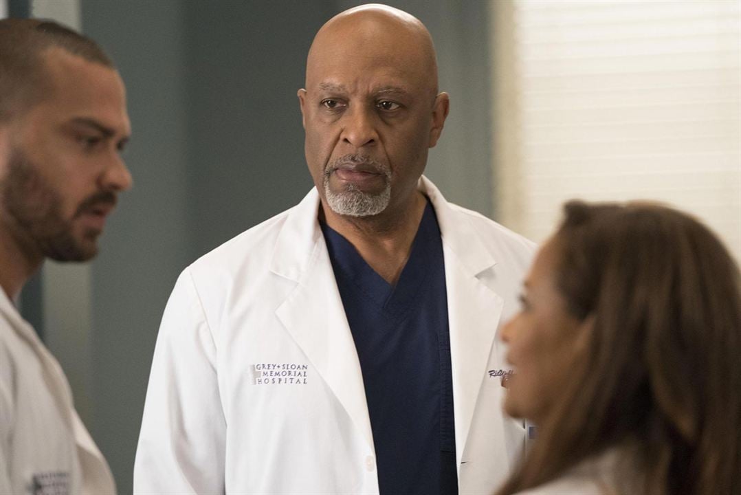 Grey's Anatomy : Photo James Pickens Jr.