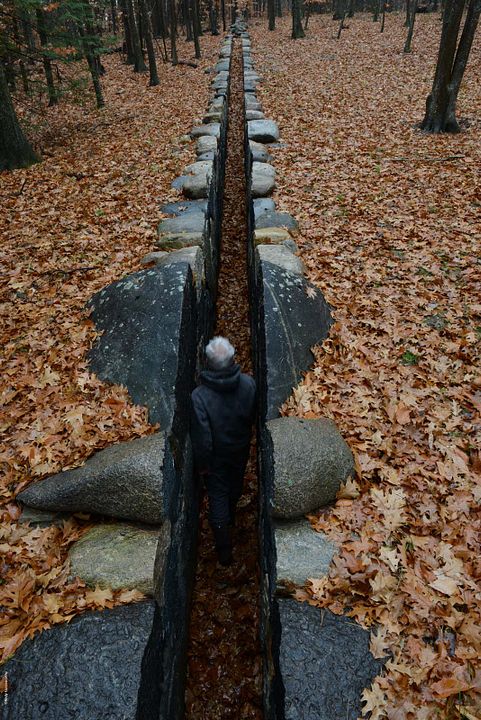 Penché dans le vent : Photo