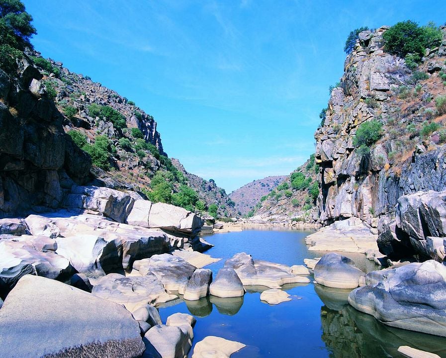 La Bataille du Côa : Photo