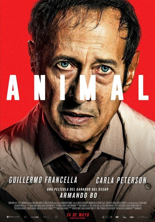 Animal : Affiche