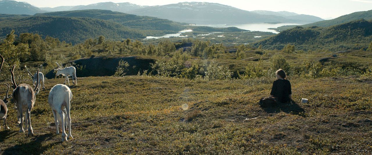 Sami, une jeunesse en Laponie : Photo