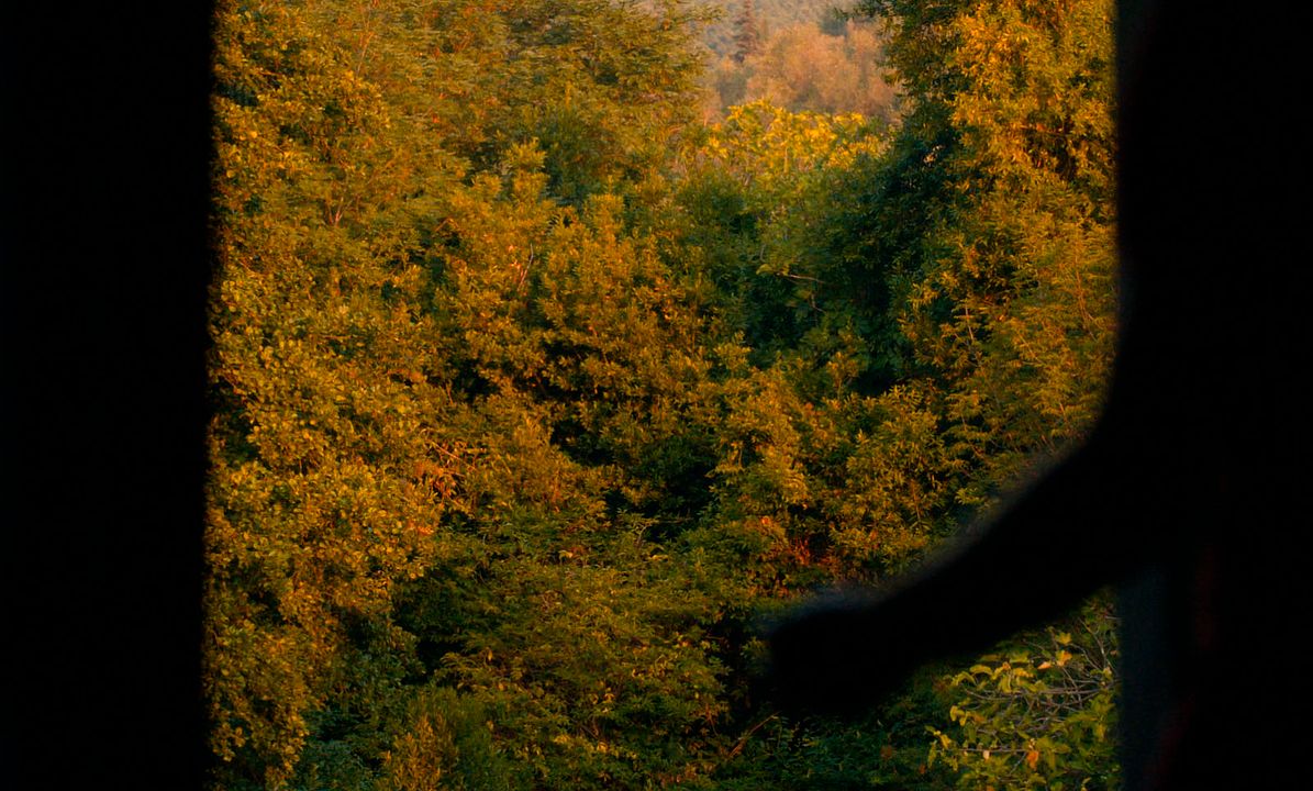 Journal d'un disparu : Photo
