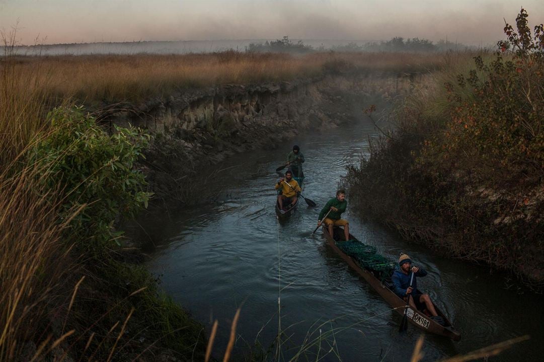 Au cœur de l'Okavango : Photo