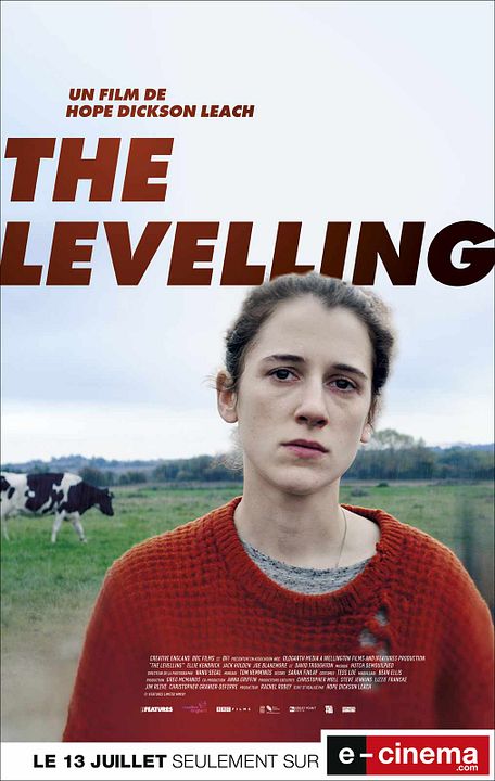 The Levelling : Affiche