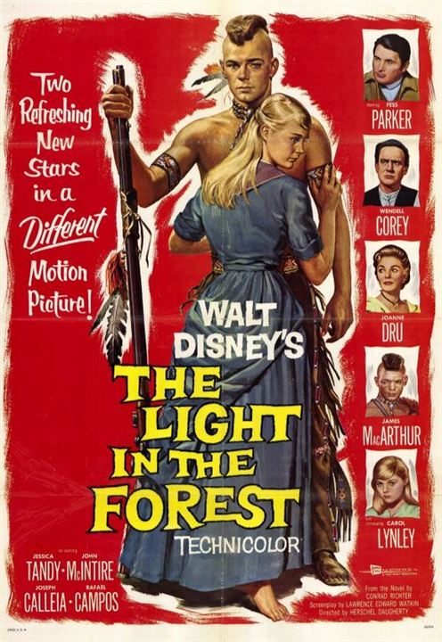 The Light In The Forest : Affiche