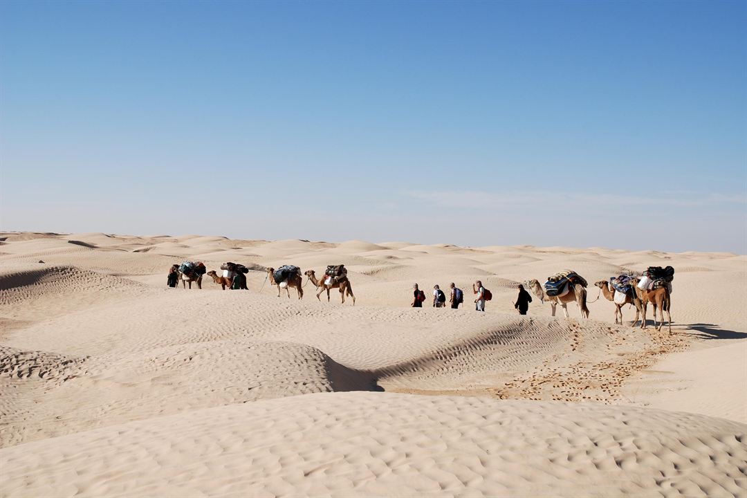 Au-delà du regard, Oser le désert : Photo