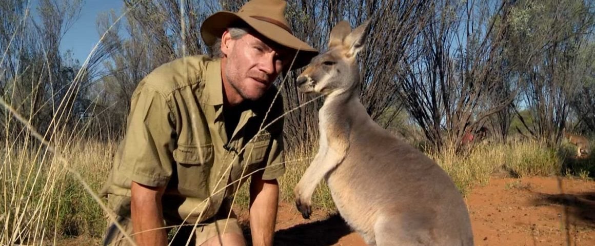 Kangaroo – A Love-Hate Story : Photo