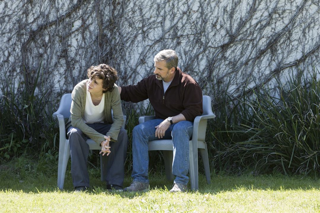 My Beautiful Boy : Photo Timothée Chalamet, Steve Carell