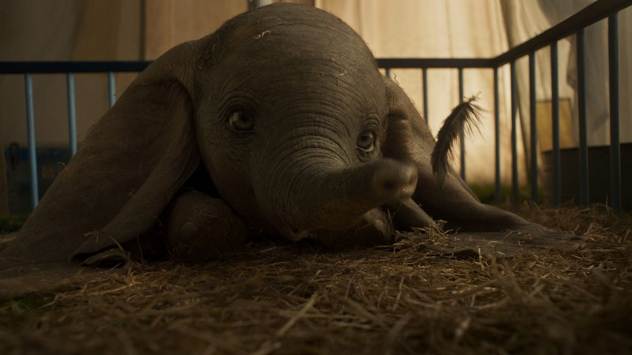 Dumbo : Photo