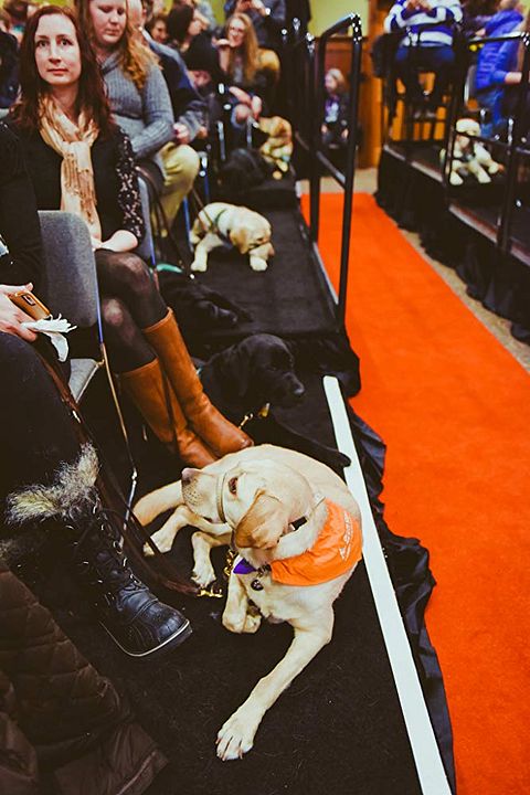 Pick of the Litter : Photo