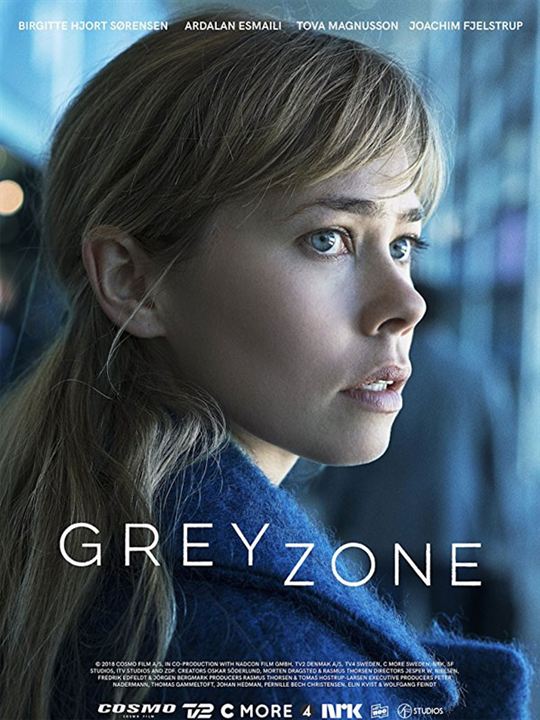 Greyzone : Affiche