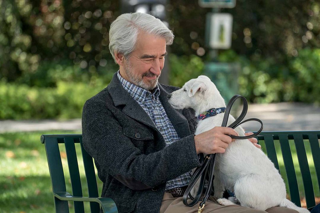 Grace et Frankie : Photo Sam Waterston
