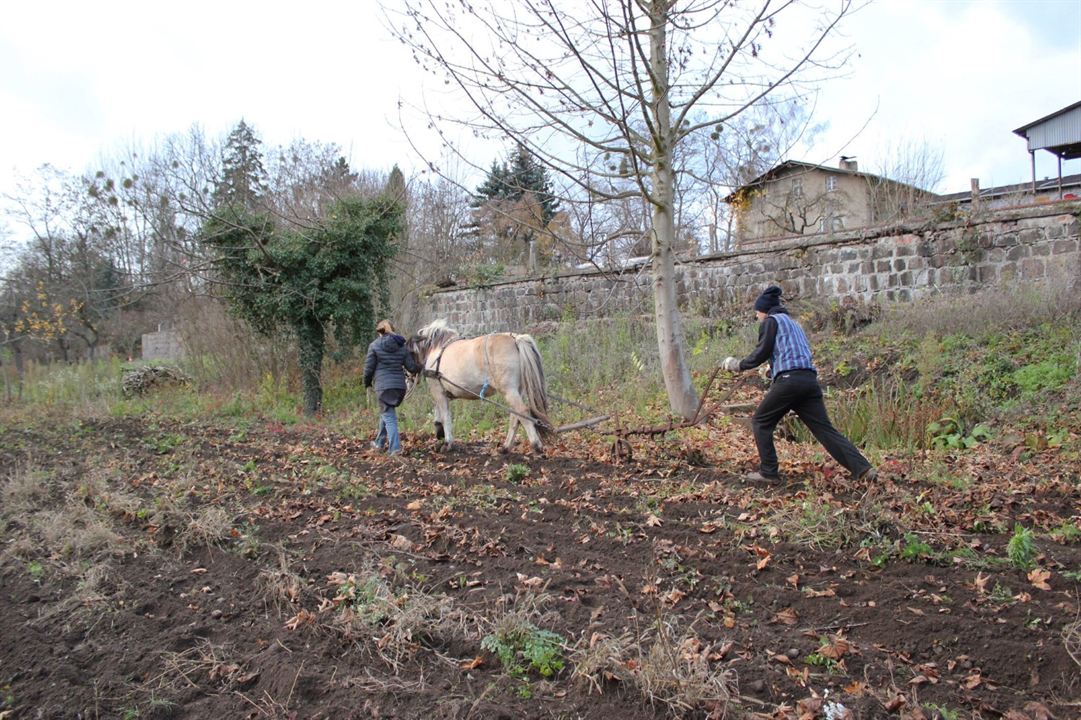 Au pays des bobos : Photo