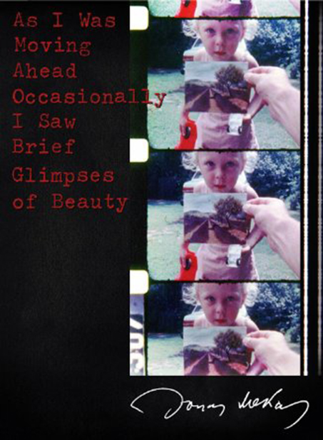 As I Was Moving Ahead Occasionnaly I Saw Brief Glimpses of Beauty : Affiche