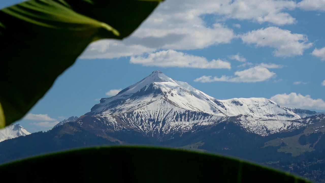 Le Jardin Des Cimes - Une Enclave En Altitude : Photo