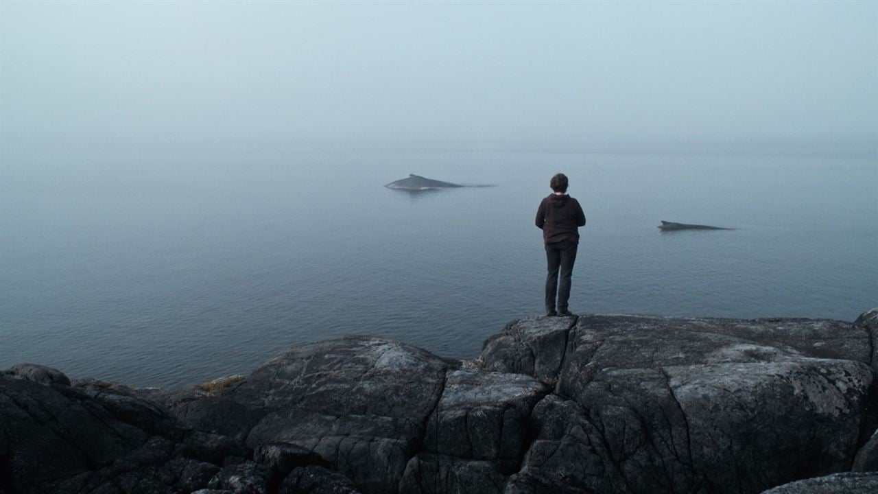 La Baleine & le corbeau : Photo