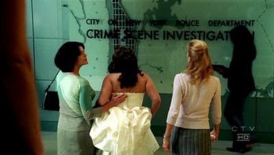 Les Experts : Manhattan : Affiche