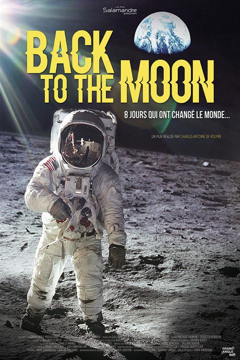 Apollo 11 : retour vers la lune : Affiche