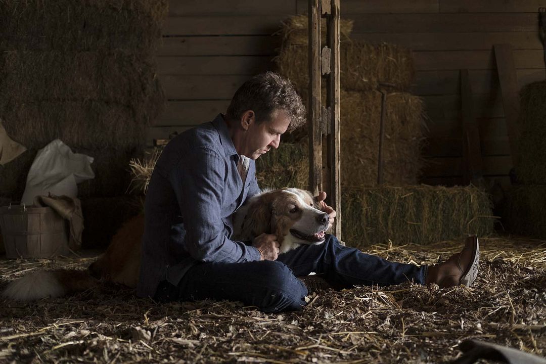 Mes autres vies de chien : Photo Dennis Quaid
