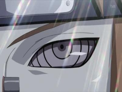 Naruto Shippuden : Affiche