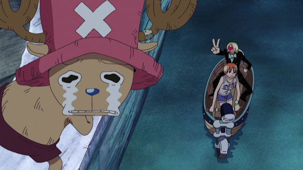 One Piece : Photo
