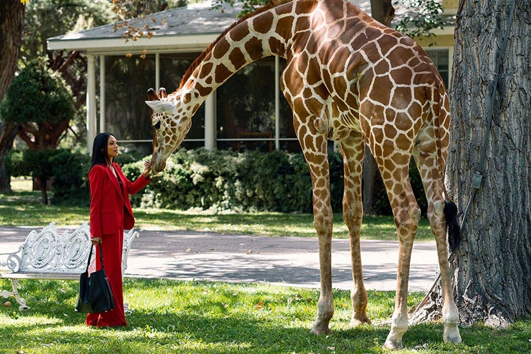 Briarpatch : Photo Rosario Dawson