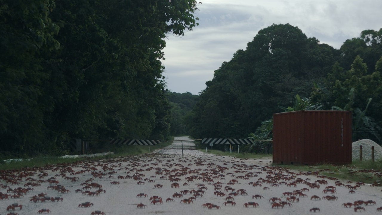 Island of the Hungry Ghosts : Photo