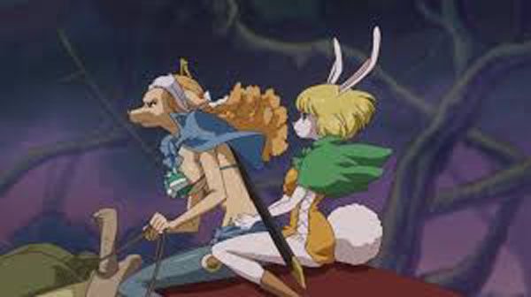 One Piece : Photo